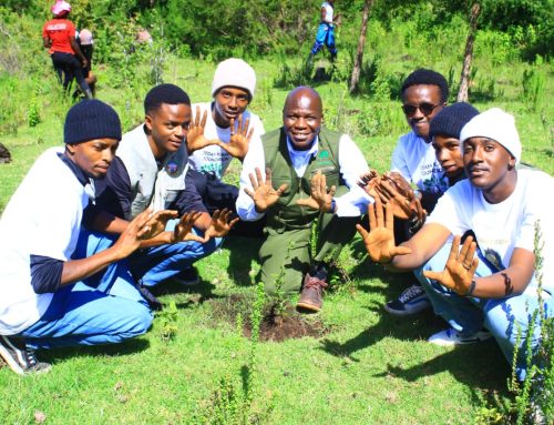 Geta Forest National Tree Growing Campaign Event 