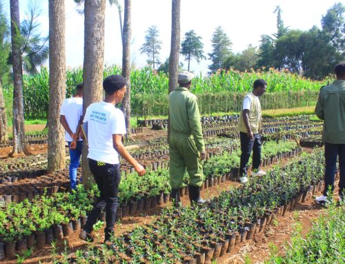 F.M. Dedan Kimathi’s104th Posthumous Birthday Greening Planning~ Nyandarua County Edition