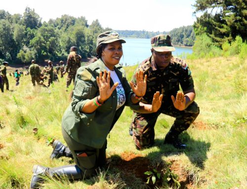 Dedan Kimathi Foundation and KDF Mazingira Day 2024 Mega Tree Planting