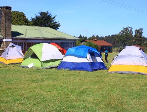 St Paul’s University Scout Crew Camp at Kimathi’s