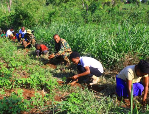 Dedan Kimathi Foundation Tharaka Nithi Tree Growing ~Day 3