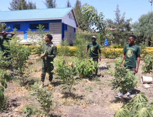 Kamulu Tree Growing Progress Monitoring and Evaluation