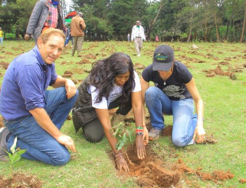 Restoring Nature | A Call to Action Led by Wanjugu Kimathi