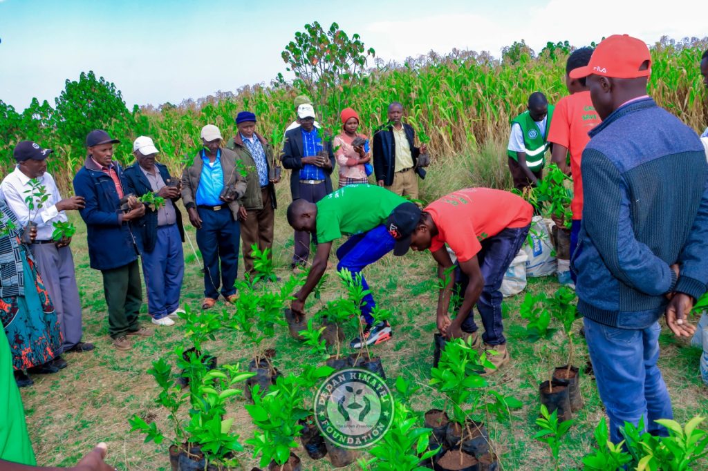 Dedan Kimathi Foundation activity