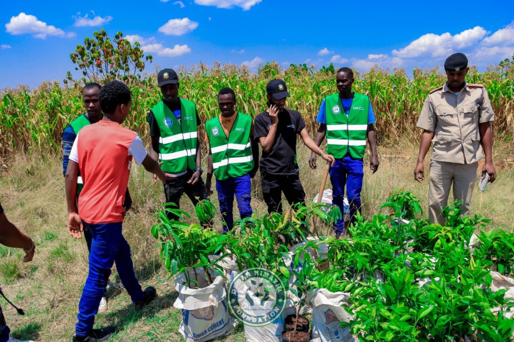Dedan Kimathi Foundation activity