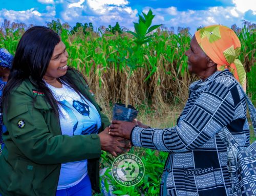 Wanjugu Kimathi’s Green Legacy 