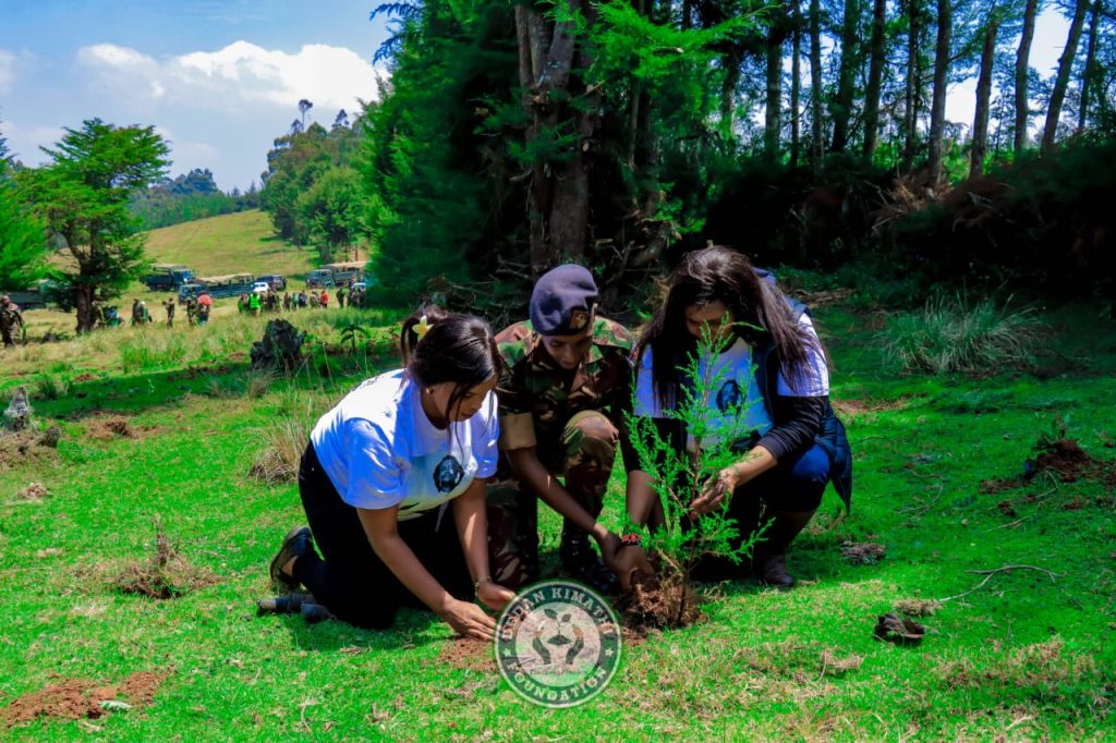 Dedan Kimathi Foundation activity