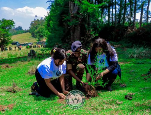 Sasumwa Dam in South Kinangop- Nyandarua, Continues to Thirst for Increased Tree Cover