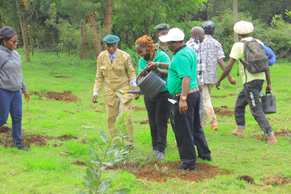 Dedan Kimathi Foundation activity