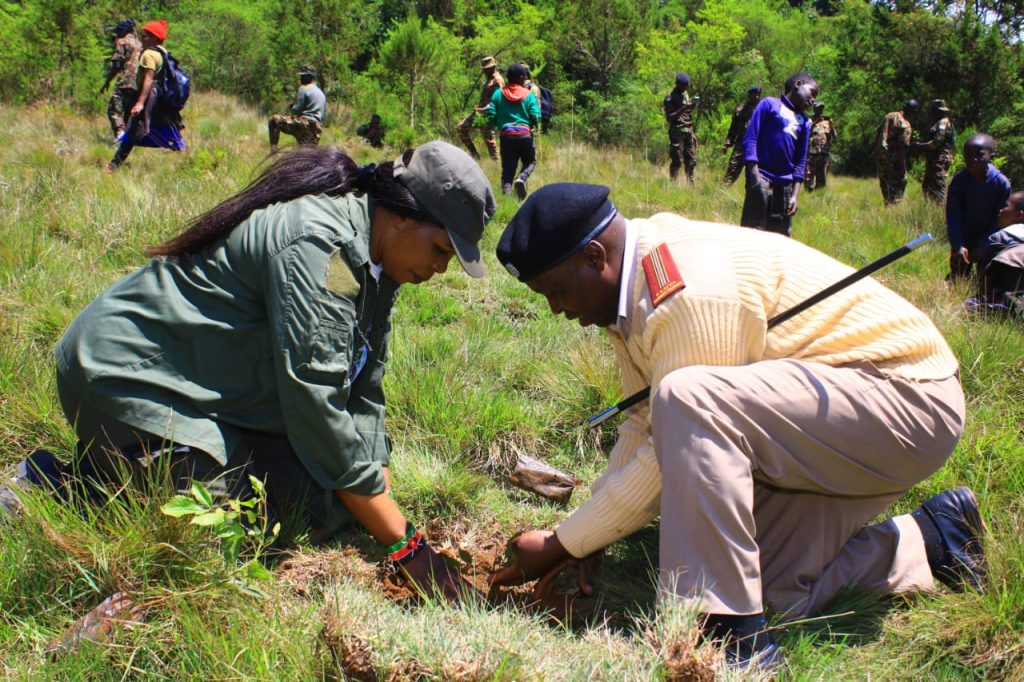 Dedan Kimathi Foundation activity