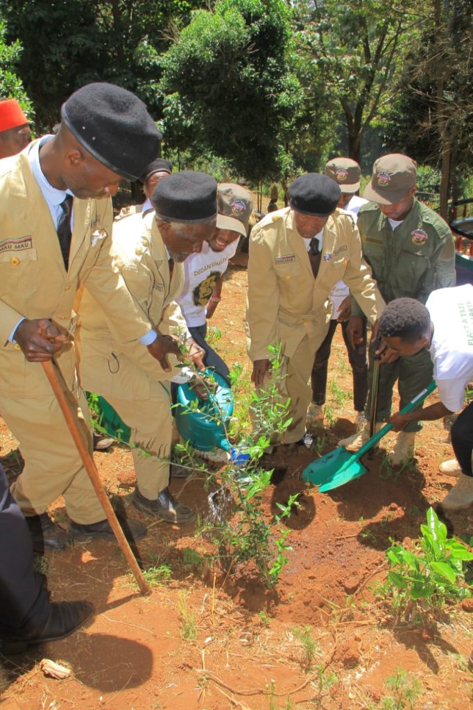 Dedan Kimathi Foundation activity