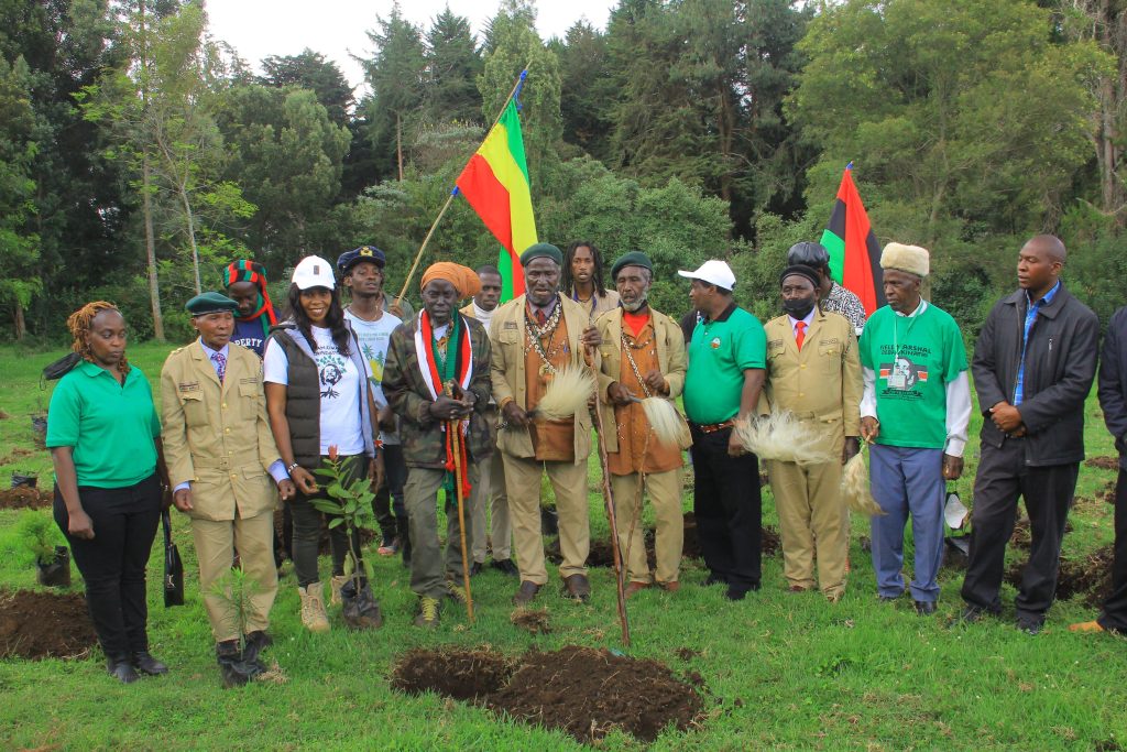 Dedan Kimathi Foundation activity
