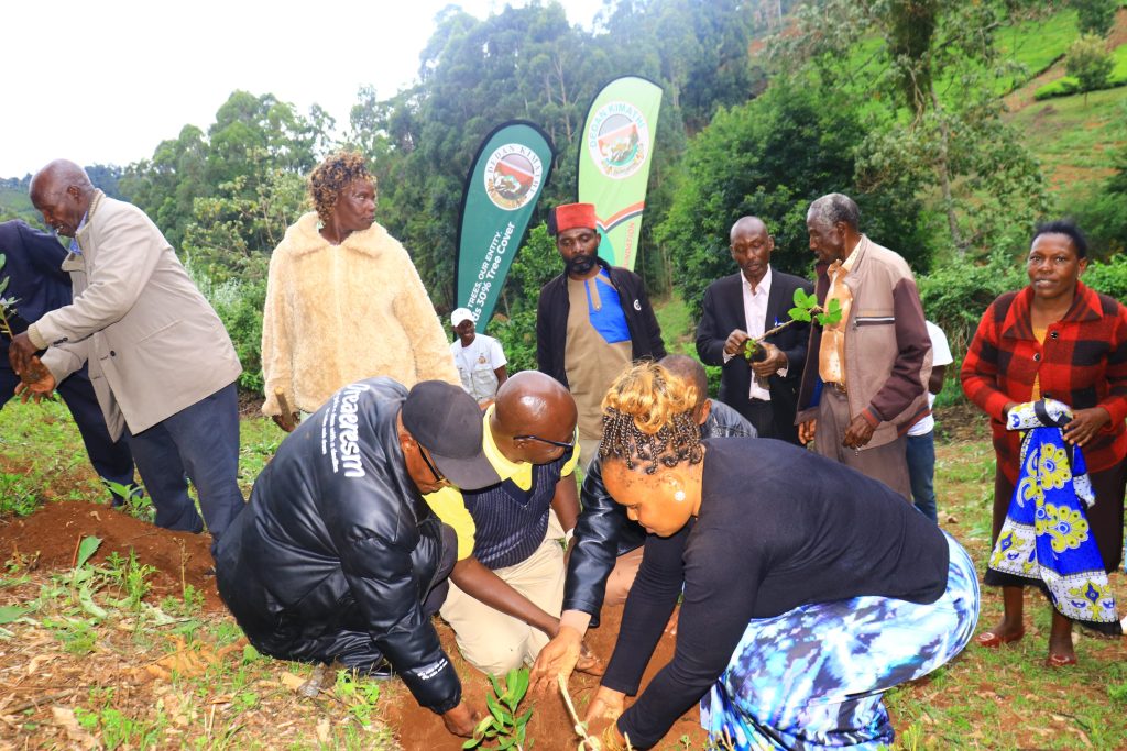 Dedan Kimathi Foundation activity