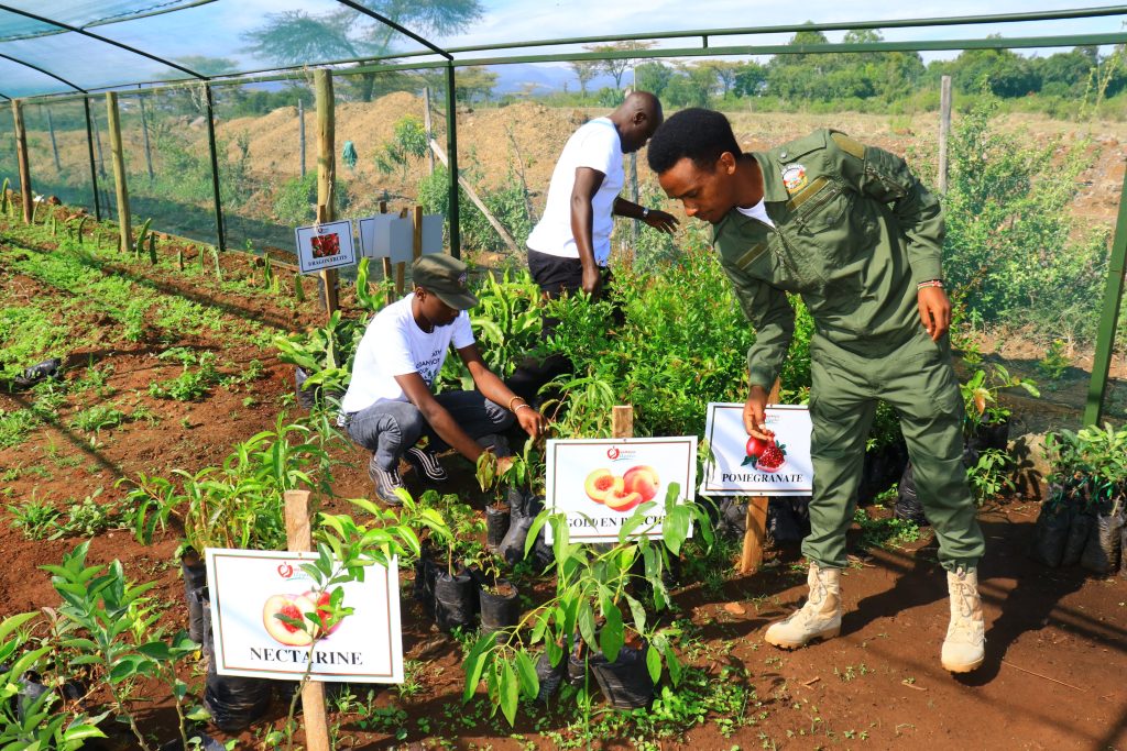 Dedan Kimathi Foundation activity